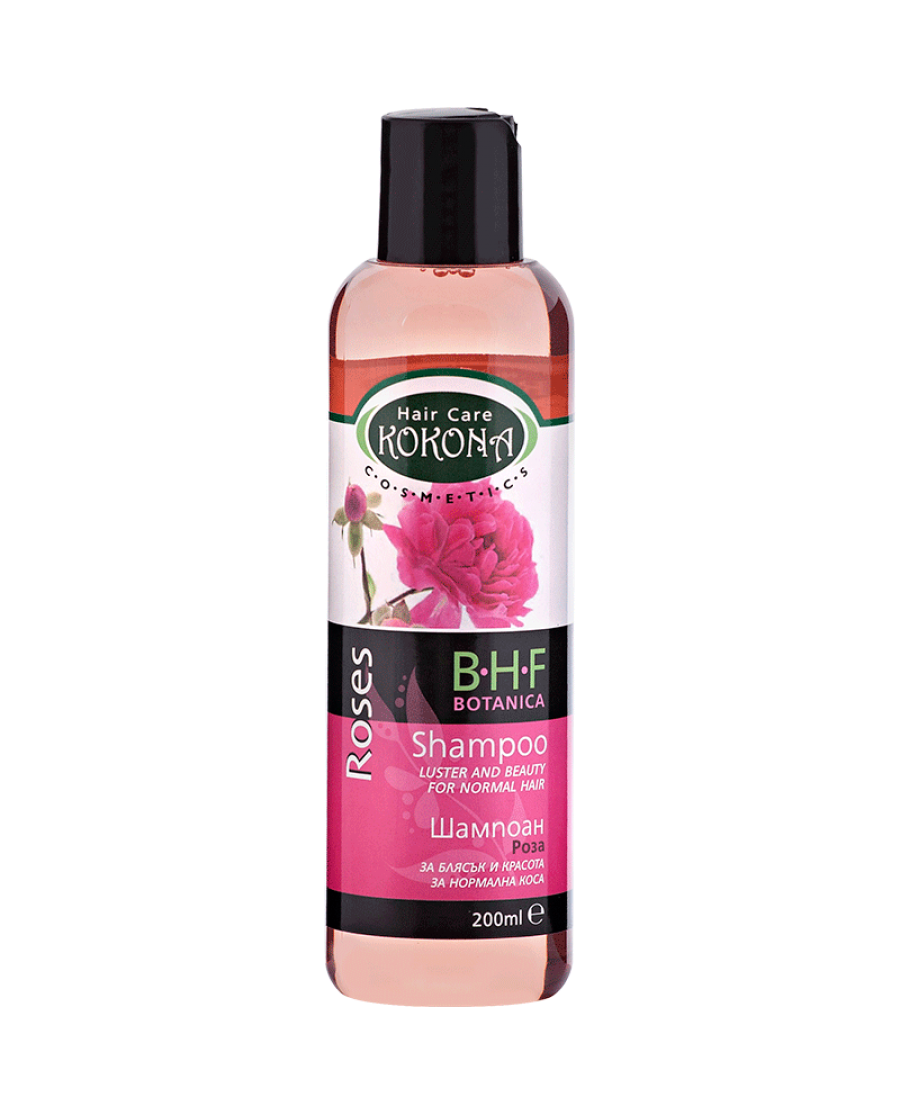 ΣΑΜΠΟΥΑΝ ΤΡΙΑΝΤΑΦΥΛΛΟ